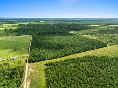 7-web-or-mls-DJI_0945