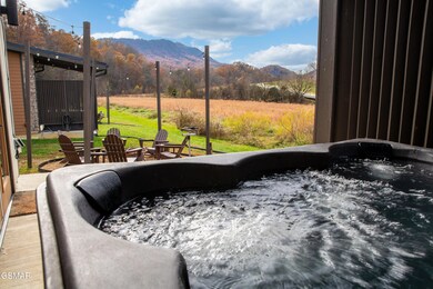 984 Goose Gap Rd unit 11, Sevierville, TN 37876 - photo 4