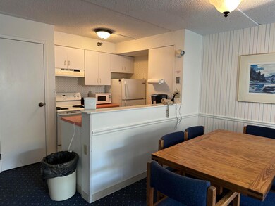 23 Black Bear Rd unit 305, Waterville Valley, NH 03215 - photo 5