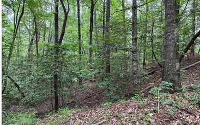 Additional View