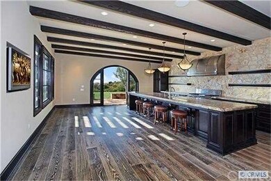 Primary gourmet chef's kitchen