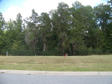 Street View of Lots