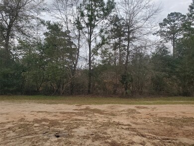 22631 Old Highway 105, Cleveland, TX 77328 - photo 6