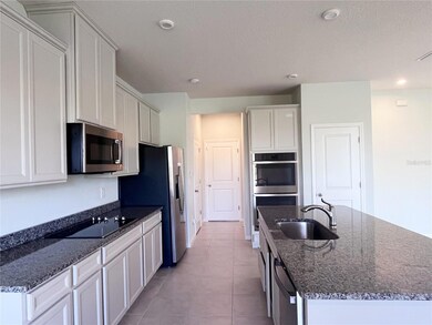 10191 Hawks Landing Dr, Land O' Lakes, FL 34638 - photo 6