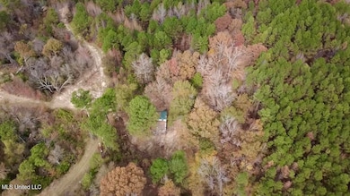 0 Border Rd, Carrollton, MS 38917 - photo 4