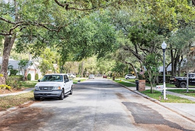 Tree lined street