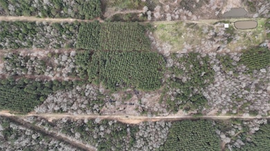 0 County Line Rd unit 15374642, Shepherd, TX 77371 - photo 6