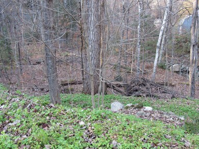 169 Holland Rd, Dover, VT 05341 - photo 4