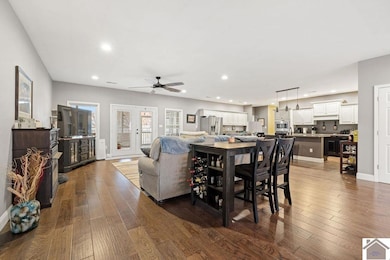 720 Jim Ireland Rd, Barlow, KY 42024 - photo 6