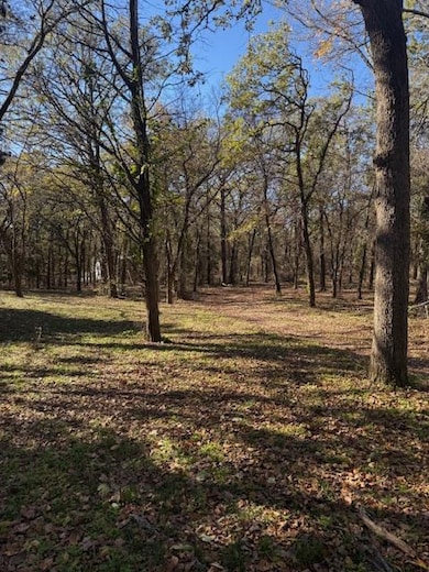 1698 Boat Ramp Rd, Kingston, OK 73439 - photo 5