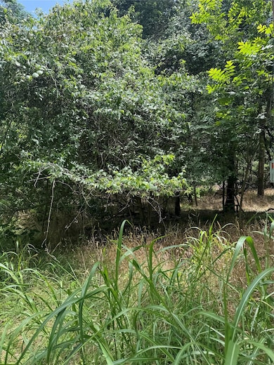 View of undeveloped land