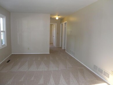 New carpet and paint