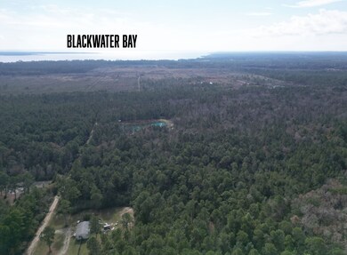 0000 Lavon Rd, Bagdad, FL 32583 - photo 6