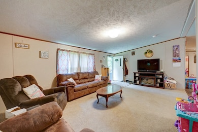 6496 Boardtown Rd, Ellijay, GA 30540 - photo 6