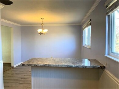 Stylish Island between Kitchen and Dining.
