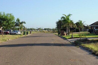 828 N 7 1 2 St, Alamo, TX 78516 - photo 4