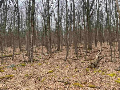 TBD Pond Lily Ln, Terra Alta, WV 26764 - photo 6