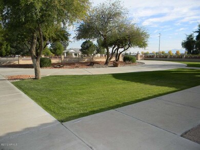 Beautiful front landscaping