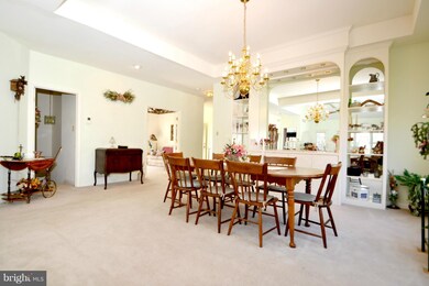 9915 Middle Mill Dr, Owings Mills, MD 21117 - photo 6