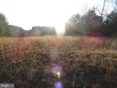 0 Grass Hopper Ln unit 1002425936, Unionville, VA 22567 - photo 6