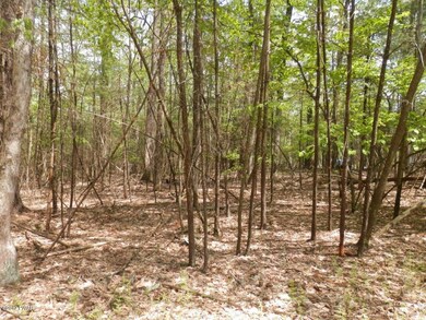 Lot 882 Mulberry Dr, Milford, PA 18337 - photo 2