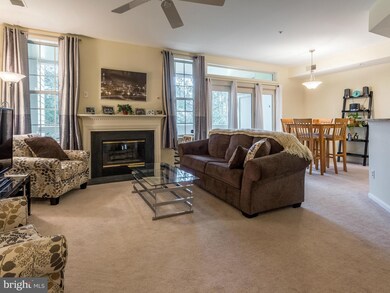 1367C Garden Wall Cir unit 710, Reston, VA 20194 - photo 2