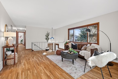 Newly refinished hardwood floors