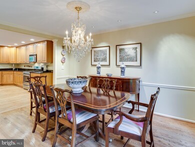 10918 Blue Roan Rd, Oakton, VA 22124 - photo 6