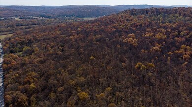 46.95 acres S Black Oak Rd, Fayetteville, AR 72701 - photo 5