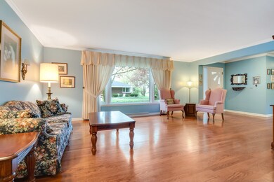 133 E Adams St, Elmhurst, IL 60126 - photo 7