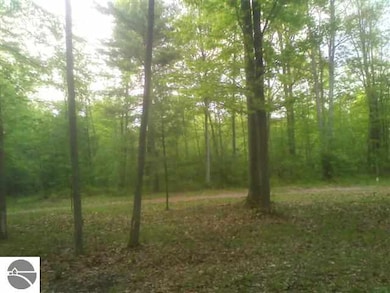 5129 E Michigan Ave, Au Gres, MI 48703 - photo 2