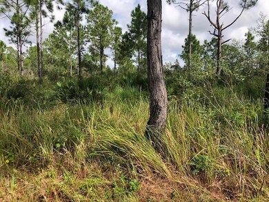 8010 Carillo Dr, Sebring, FL 33872 - photo 4