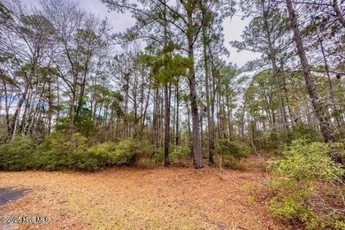 703 Davy Jones Court