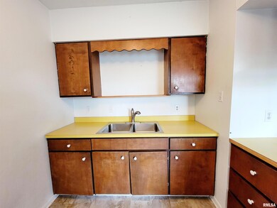 410 Frorer Ave unit 2, Lincoln, IL 62656 - photo 4