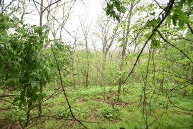 682 A T Dean Rd unit (Tract E), Harrodsburg, KY 40330 - photo 6