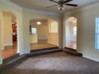 Spare room featuring plenty of natural light, dark
