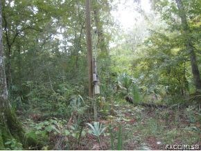 POWER POLE ON PROPERTY