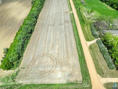 0 466th (South Lot) Ave Ave, Hartford, SD 57033 - photo 6