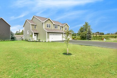 LANDSCAPING IN THE SUMMER