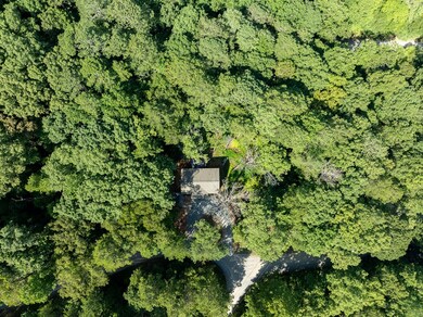 8 Gibe Ct, Ellijay, GA 30540 - photo 3