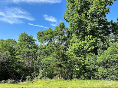 387 Wild River Run unit 6, Marshall, NC 28753 - photo 2