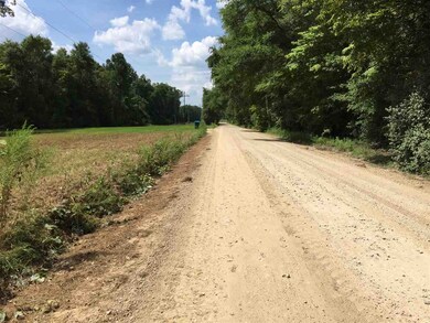 0 Ashley Hall Rd, Crawfordville, FL 32327 - photo 4