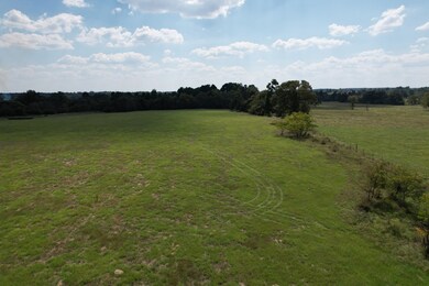 TBD-B County Road 435, Frankston, TX 75763 - photo 7