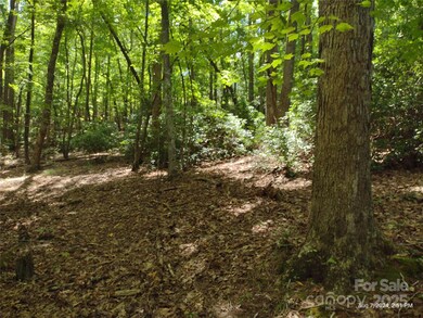 00 Shumont Estates Dr unit 50, Lake Lure, NC 28746 - photo 5