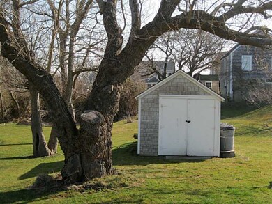 Yard/Garden.