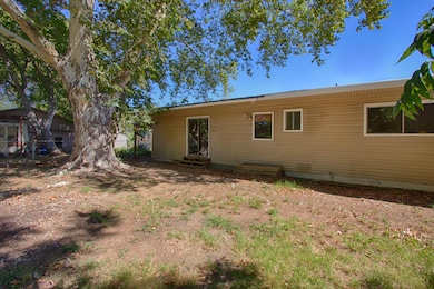 backyard-3