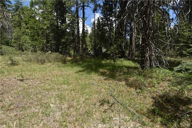 0 Fumarole Dr unit SN25120276, McCloud, CA 96057 - photo 5