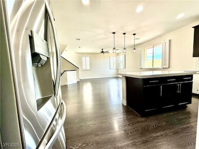 Kitchen featuring dark wood-style flooring, light