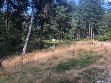 154 E Fox Run Ln, Grapeview, WA 98546 - photo 6