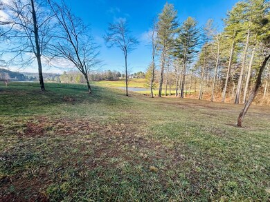 TBD Manor House Dr, Laurel Fork, VA 24352 - photo 4